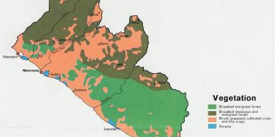 Mapi vegetacije karta za Liberiju